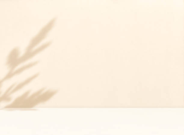 istock Autumn background room studio with sunlight effect leaves shadow on wall and floor. 2194575118