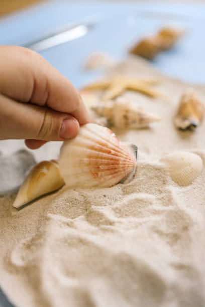 istock Child exploring seashells and a starfish in a glass dish filled with sand using a magnifying glass on a light blue background. Fun and educational sensory activity 2194575142