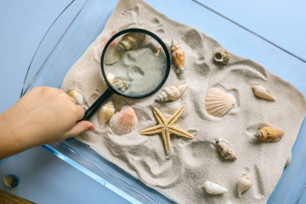 istock Child exploring seashells and a starfish in a glass dish filled with sand using a magnifying glass on a light blue background. Fun and educational sensory activity 2194575143