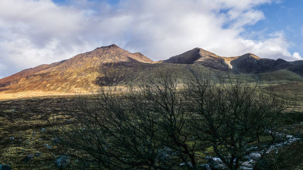 istock In a tranquil setting, mountains rise into the sky, illuminated by soft evening light. A stark, leafless tree stands in the foreground, adding to the serene atmosphere. 2194575445