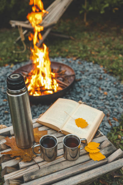 istock Book, thermos and fire, cozy autumn 2194577516