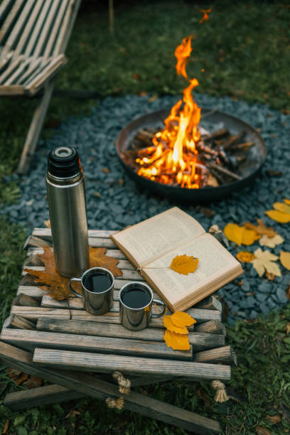 istock Book, thermos and fire, cozy autumn 2194577517