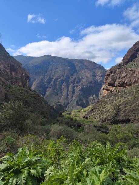 istock Agaete valley in Gran Canaria 2194578204