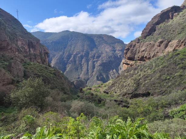 istock Agaete valley in Gran Canaria 2194578244