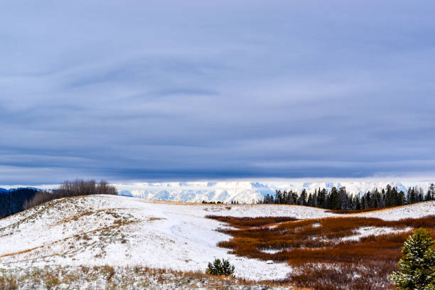 istock Dark Clouds Over a Snowy Meadow 2194578375