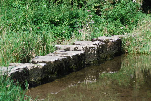 istock Stepping stones going right across the river Ewenny South Wales UK 2194580895