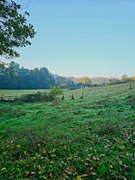 istock Serene Countryside Landscape with Lush Green Pastures 2194583052