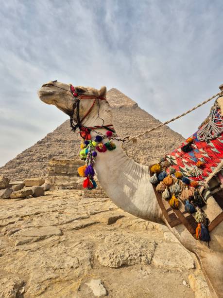 istock The Great Pyramids of Giza 2194583981