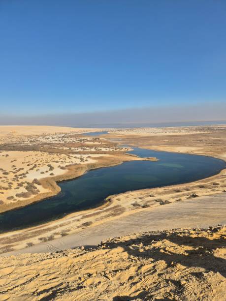 istock Oasis in El Faiyum - Desert life 2194584006