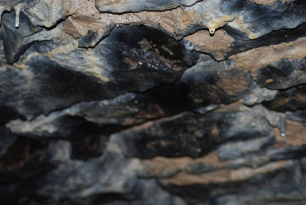 Layers of a cliff South Wales UK