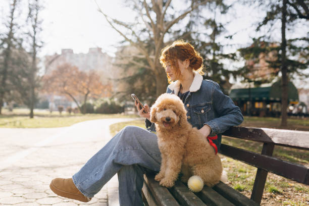 istock Happy moments with my dog 2194588245
