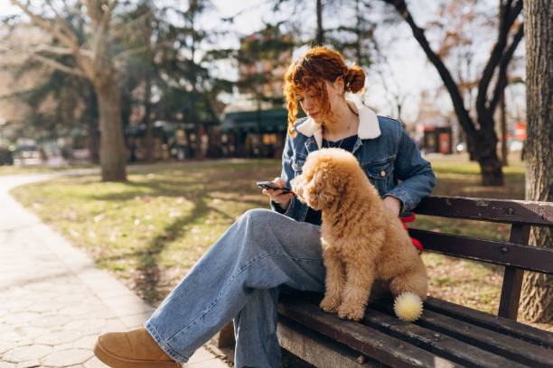 istock Happy moments with my dog 2194588412