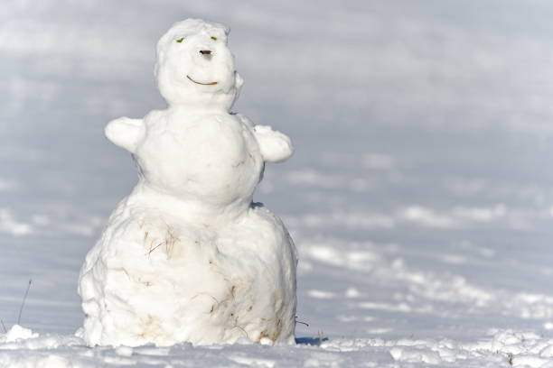 istock Smiling melted snowman on the field. Global warming concept. Spring is coming. 2194588478