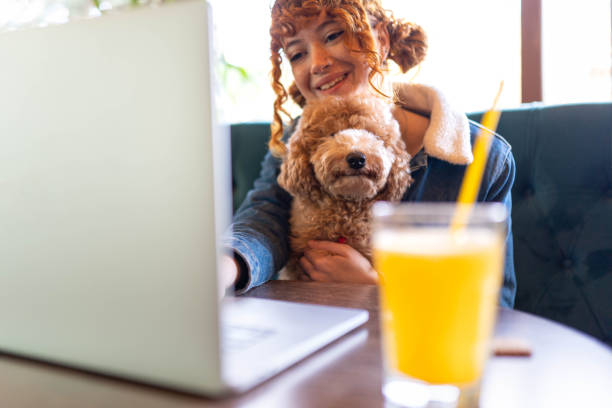 istock Having fun with my dog while using a laptop in a coffee shop 2194588705