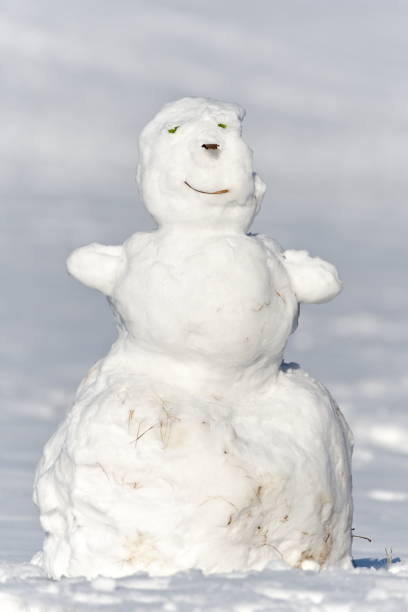 Toy Snowman Face background