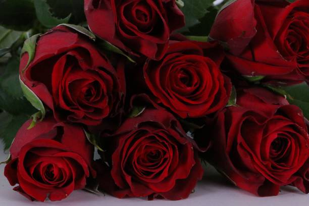 Free Stock Photo of Close-Up of a Bunch of Red Roses | Download Free ...