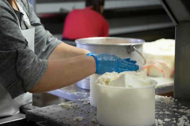 istock A person pressing fresh cheese curds into a mould with gloved hands in a dairy kitchen, showcasing the artisanal cheese-making process and traditional food preparation techniques 2194605772