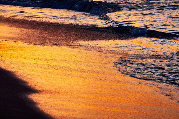 istock Scenci view of beach during sunrise 2194614197