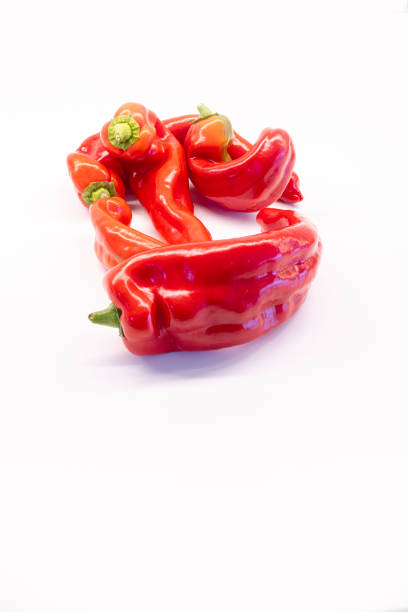 Bent, wonky, ugly looking red pointed peppers that supermarkets may refuse due to their unusual shape. Isolated on a white background with space for copy