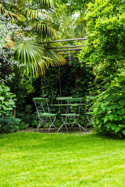 istock Tranquil Garden Scene Featuring Chairs and Table Among Lush Greenery 2194616670
