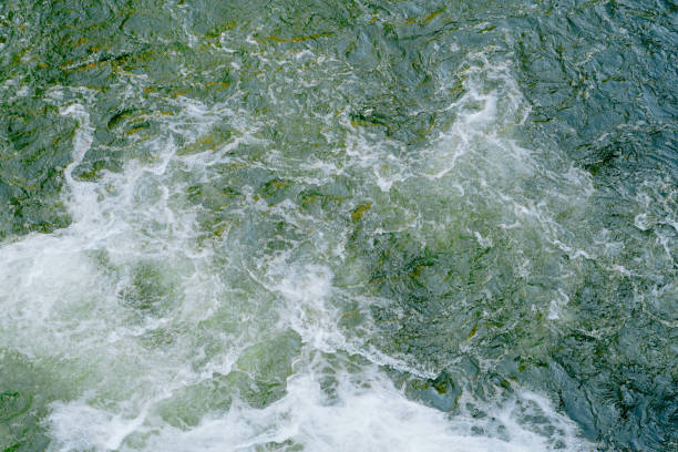 istock Turbulent water currents swirling and cascading in a vibrant green river during daylight hours 2194618533