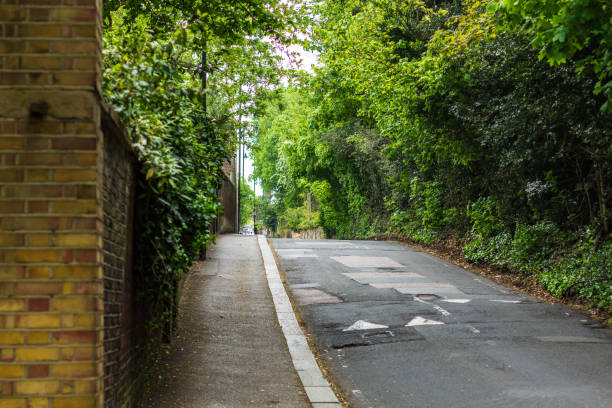 istock Scenic Path and Road Lined with Lush Green Foliage and Brick Wall 2194622682
