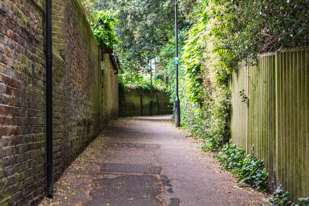 istock Narrow Pathway Lined with Brick Walls and Green Foliage in a Serene Setting 2194623399