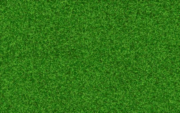 istock Grass texture. Realistic green field or garden. Fresh lawn background. Summer backyard concept. Eco design for brochure, poster or website. Natural meadow backdrop. Vector illustration 2194623805