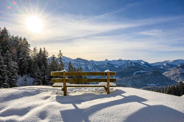 Beautiful view from a wooden bench in Sonngarten to the Bregenzerwald in Vorarlberg in the Austrian Alps during winter season with snowcapped mountains, trees and huts