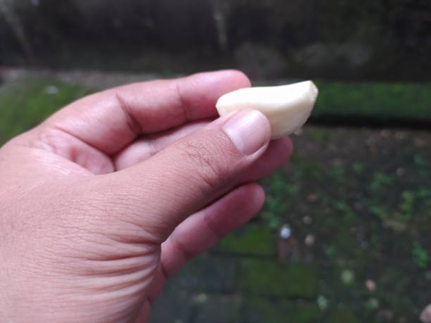 istock Showing one piece of peeled garlic 2194631998