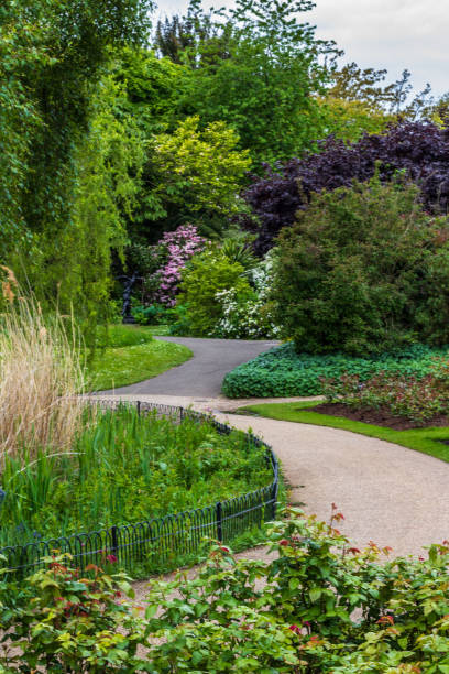 istock Serene Pathway Winding Through Lush Green Garden Scenery 2194635222