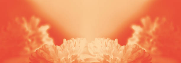istock Dreamy blurred creamy orange gradient background with merging in a pale colored flower composition. Peaceful or serene backgrounds. Template banner. Frame with soft pastel floral pattern. Copy space 2194637769