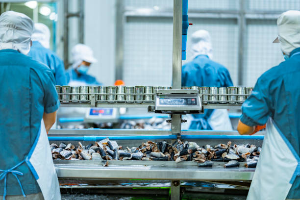 istock Workers processing fish on an industrial conveyor line in a modern food factory Focus on safety hygiene and efficiency in food manufacturing and packaging operations. 2194643196