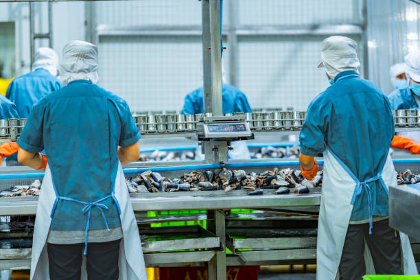 istock Food production workers handling fish for canning on an automated conveyor system Highlights of precision and quality assurance in industrial workflows. 2194643229