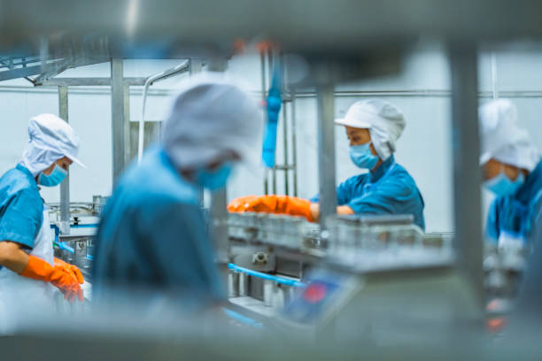 istock Industrial workers operating on a fish canning production line Emphasis on safety hygiene and workflow optimization in a modern manufacturing facility. 2194643270
