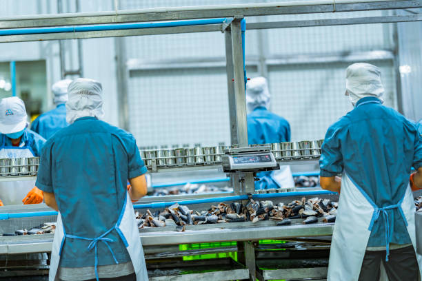 istock Workers processing fish on an industrial conveyor line in a modern food factory Focus on safety hygiene and efficiency in food manufacturing and packaging operations. 2194643290