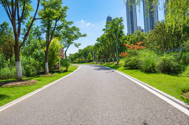 istock Curved asphalt road through the green city park 2194644554