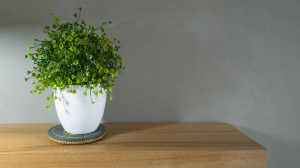 istock Minimalist Shelves with Plastic Leaves on Grey Wall 2194650794