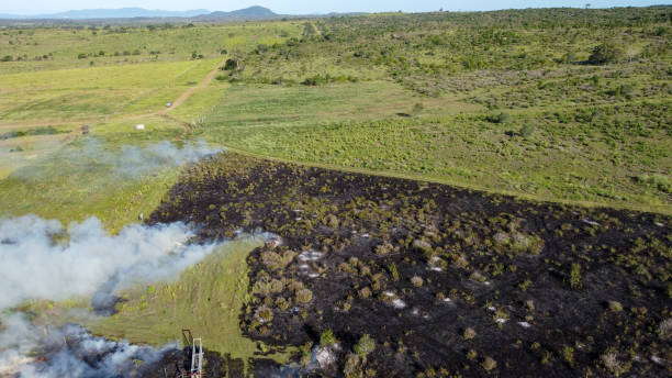 istock Burnt out land against green paddocks 2194650858
