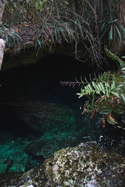 istock Underground cenote with clear water, rocks and tropical plants in Tulum 2194652239