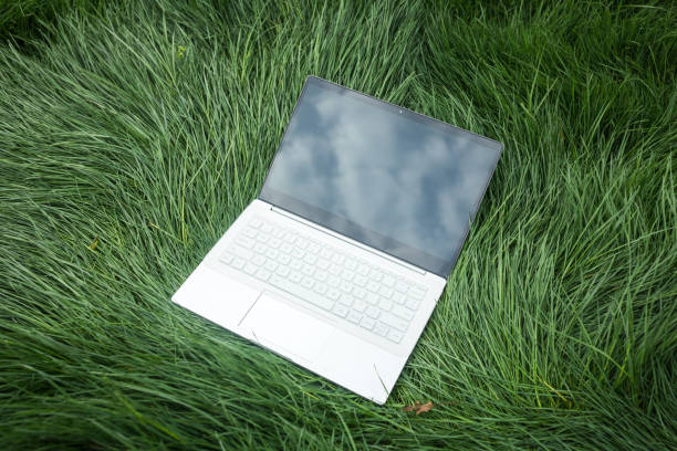laptop on the green grass field