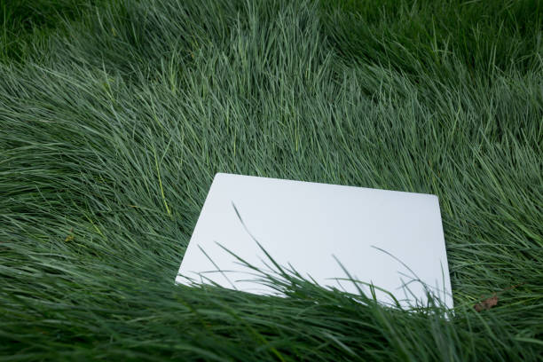 istock laptop on the green grass field 2194653399