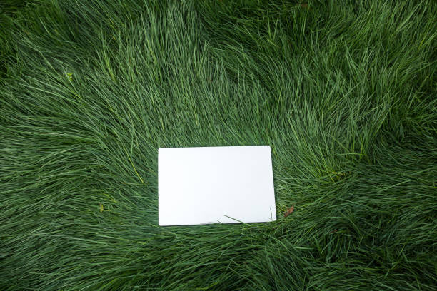 Mockups of two white A4 sheets on green grass in with scattered focus. Mockup of a poster on grass with no sun. Real photo of a blank isolated object to place text or design