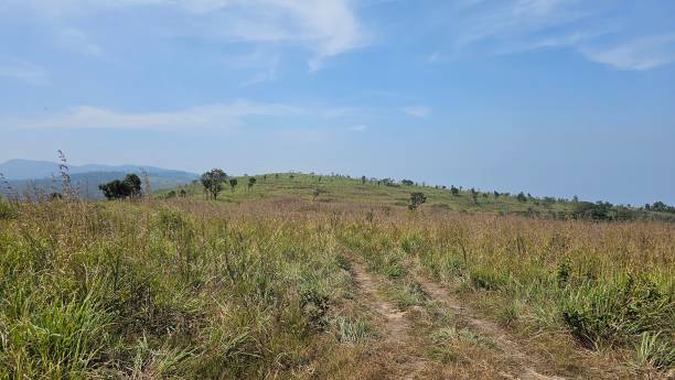 istock Grass valley on the mountain top in Kerala, India. 2194656986