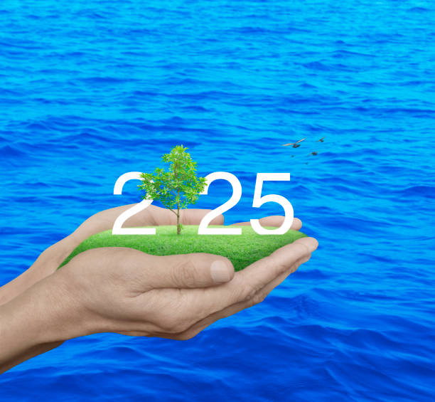 Экологический сбор в 2025 году Экологический сбор в 2025 году