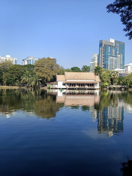 istock nice pond in the lumpini park 2194664498