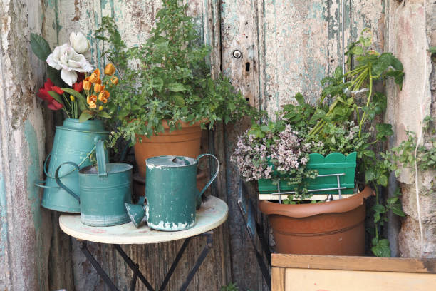 istock A charming, rustic garden scene with potted plants and watering cans, creating an inviting feel 2194665506