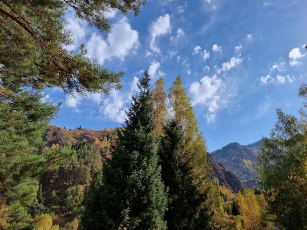 istock Beautiful view of the mountains 2194666643
