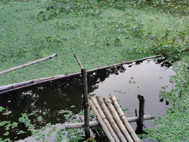 istock A small pond in the village 2194667436