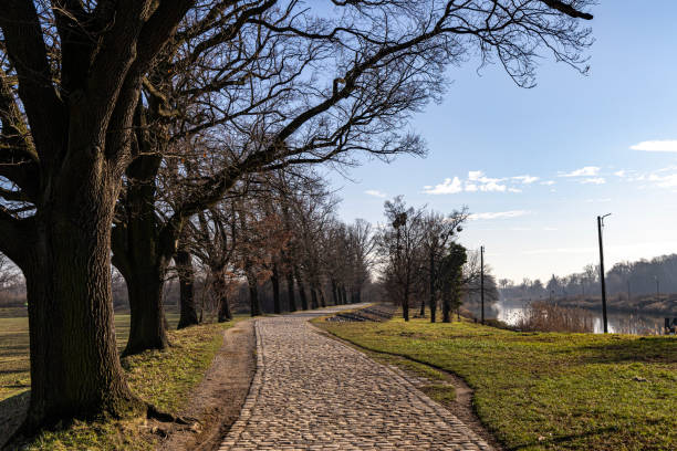 istock Spring park with cobblestone path by the river and trees without leaves. Spring landscape. Poland 2194668651